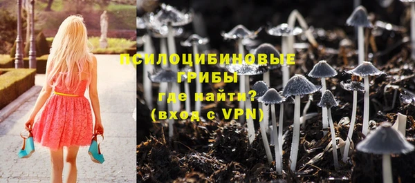 дурь Лиски