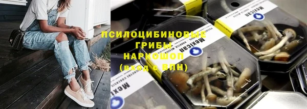 амф Барнаул