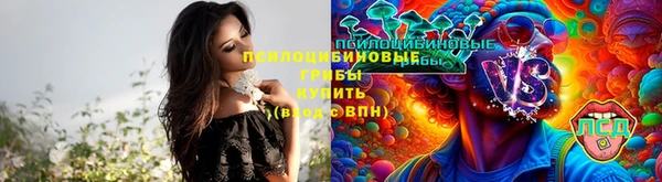 Альфа ПВП Ладушкин