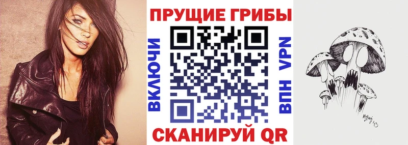 Купить закладки Мамадыш Псилоцибиновые грибы Psilocybine cubensis